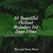 30 Beautiful Chillout Melodies for Deep Vibes