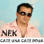 Cate Una Cate Doua