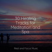 30 Healing Tracks for Meditation and Spa