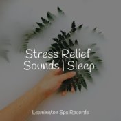 Stress Relief Sounds | Sleep