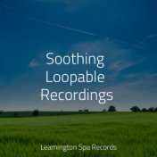 Soothing Loopable Recordings