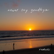 Never Say Goodbye