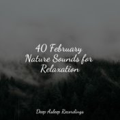 40 February Nature Sounds for Relaxation