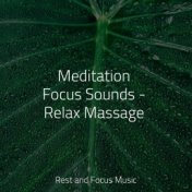 Meditation Focus Sounds - Relax Massage