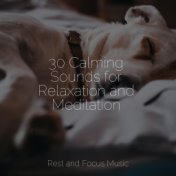 30 Calming Sounds for Relaxation and Meditation