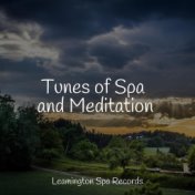 Tunes of Spa and Meditation