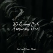 30 Spring Pink Frequency Time