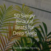 50 Sleepy Binaural Beats for Deep Sleep