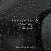 Unwind & Steady Deep Sleep Collection