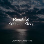 Beautiful Sounds | Sleep