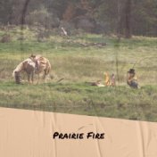 Prairie Fire