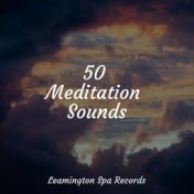 50 Meditation Sounds