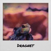 Dragnet