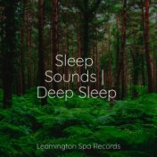 Sleep Sounds | Deep Sleep