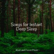 Songs for Instant Deep Sleep