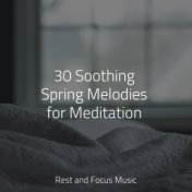 30 Soothing Spring Melodies for Meditation