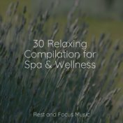 30 Relaxing Compilation for Spa & Wellness