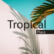 Tropical Place: Summer Vacation, Chill Night, Cocktails Lounge, Bar Relaxation