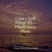 Calm & Soft Pitter 40 - Mindfulness Music