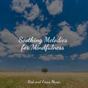 Soothing Melodies for Mindfulness