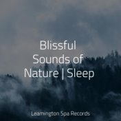 Blissful Sounds of Nature | Sleep