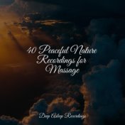 40 Peaceful Nature Recordings for Massage