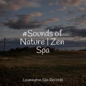 #Sounds of Nature | Zen Spa