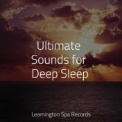 Ultimate Sounds for Deep Sleep