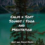Calm & Soft Sounds | Yoga and Meditation