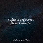 Calming Relaxation Music Collection