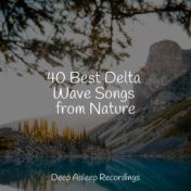 40 Best Delta Wave Songs from Nature