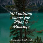 50 Soothing Songs for Vibes & Massage