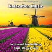Relaxation Music to Unwind, for Bedtime, Yoga, Dogs & Cats