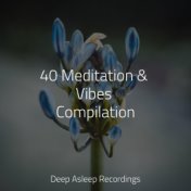 40 Meditation & Vibes Compilation