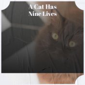 A Cat Has Nine Lives