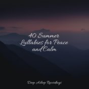 40 Summer Lullabies for Peace and Calm
