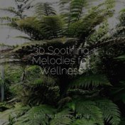 30 Soothing Melodies for Wellness