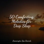 50 Comforting Melodies for Deep Sleep