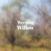 Weeping Willow