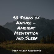 40 Songs of Nature - Ambient Meditation and Sleep