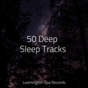 50 Deep Sleep Tracks