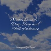 Winter Sounds | Deep Sleep and Chill Ambience