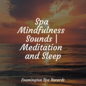 Spa Mindfulness Sounds | Meditation and Sleep