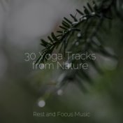 30 Yoga Tracks from Nature