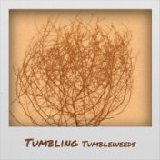 Tumbling Tumbleweeds