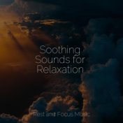 Soothing Sounds for Relaxation