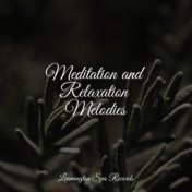 Meditation and Relaxation Melodies