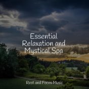 Essential Relaxation and Mystical Spa