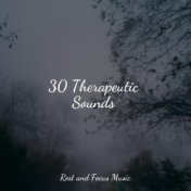 30 Therapeutic Sounds