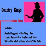 Country Kings, Vol. 3